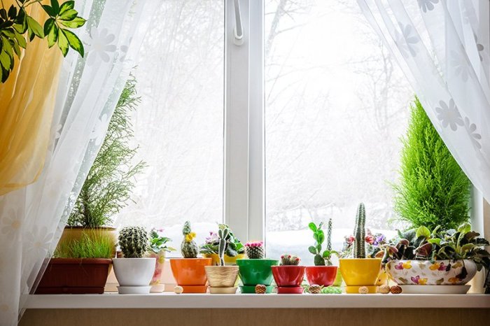 How to decorate window sill